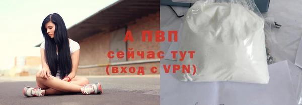 стафф Мегион
