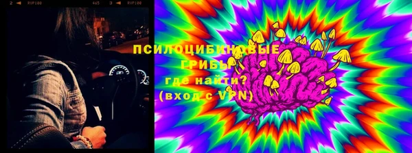 крисы Медвежьегорск