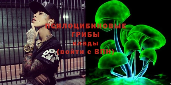 крисы Медвежьегорск