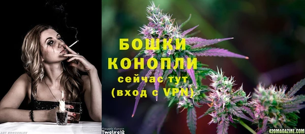 трава Медногорск