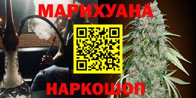 сатива Дубна