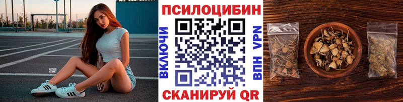 Псилоцибиновые грибы GOLDEN TEACHER  Раменское 