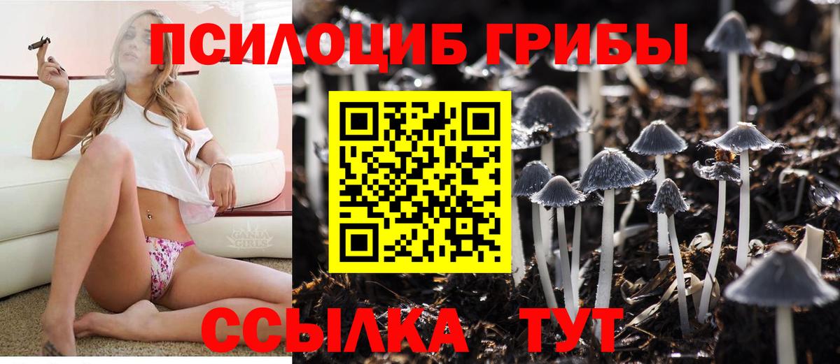 Псилоцибиновые грибы Magic Shrooms  Раменское 
