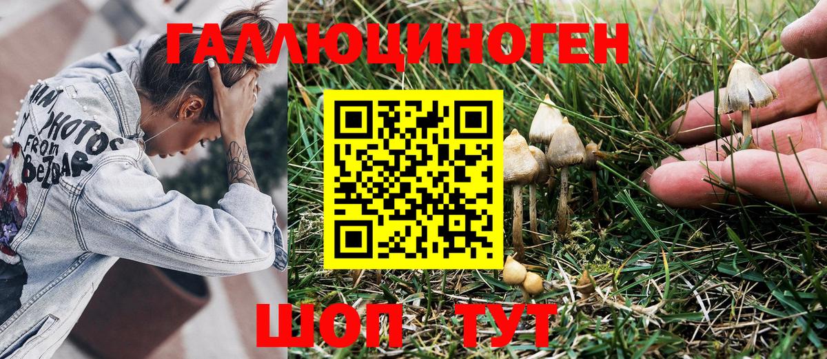 Галлюциногенные грибы Cubensis Раменское
