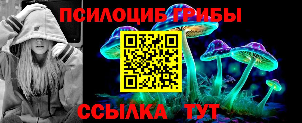 Раменское  цены   Вход с VPN  Псилоцибиновые грибы ЛСД 